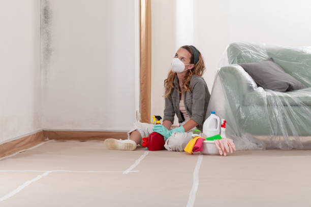 Reliable Commercial Mold Remediation contractor in Oak Ridge, NC by Mold Remediation HQ